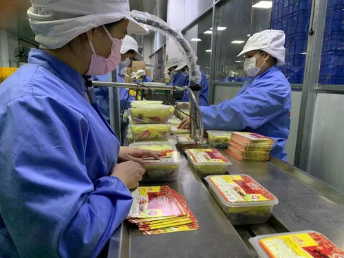 落實優惠政策，拓展“非接觸式”辦稅，稅務部門多措并舉助力企業復工復產